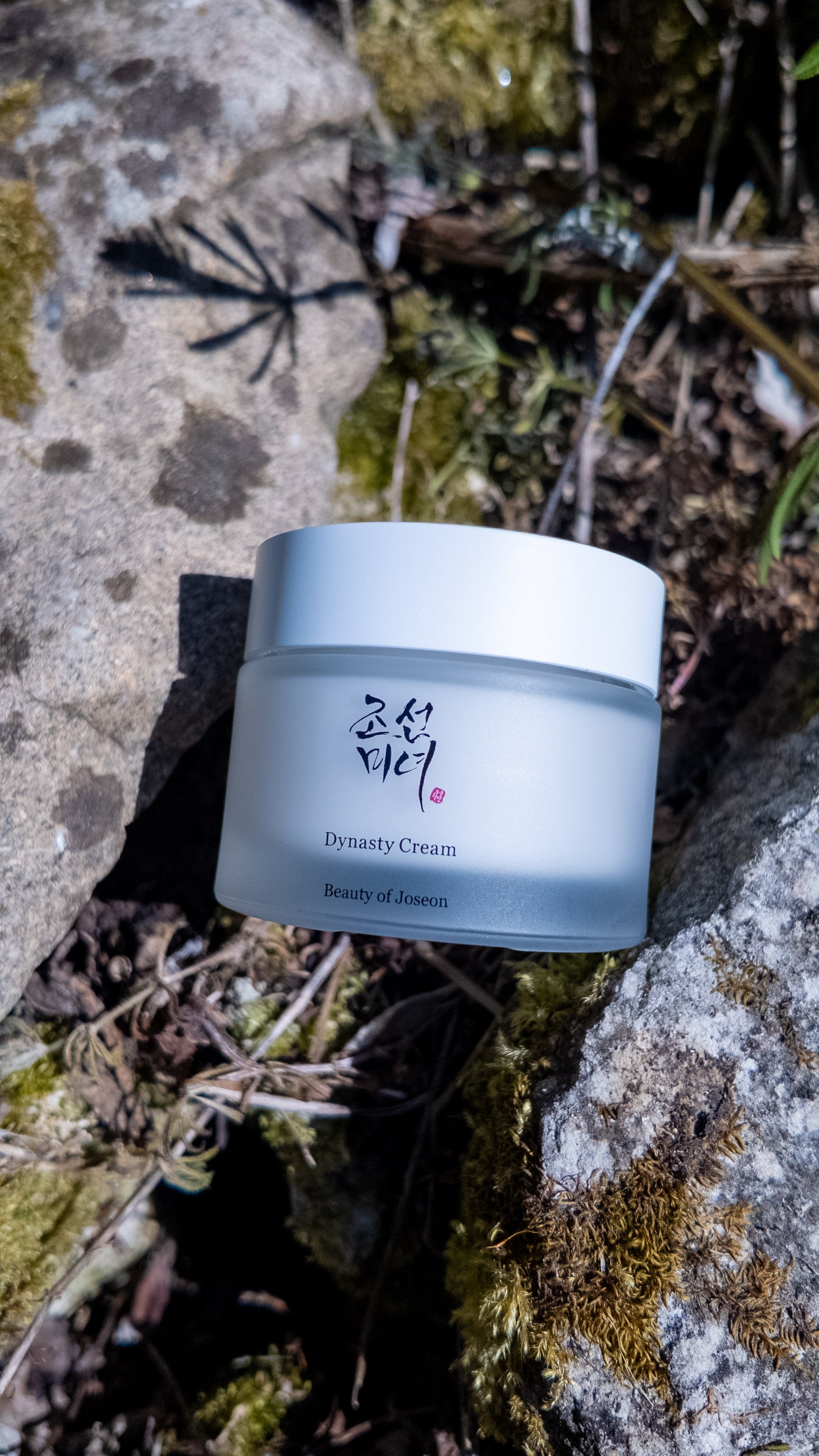 Dynasty Cream - Crème hydratante - 50ml Beauty of Joseon